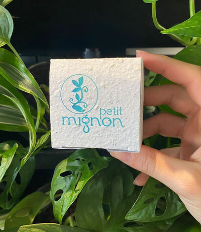 Schmuck Verpackung aus handgeschöpften Samenpapier